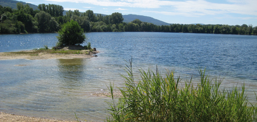 Workshop am See